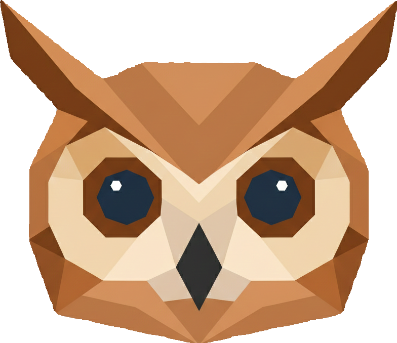 Noctu owl